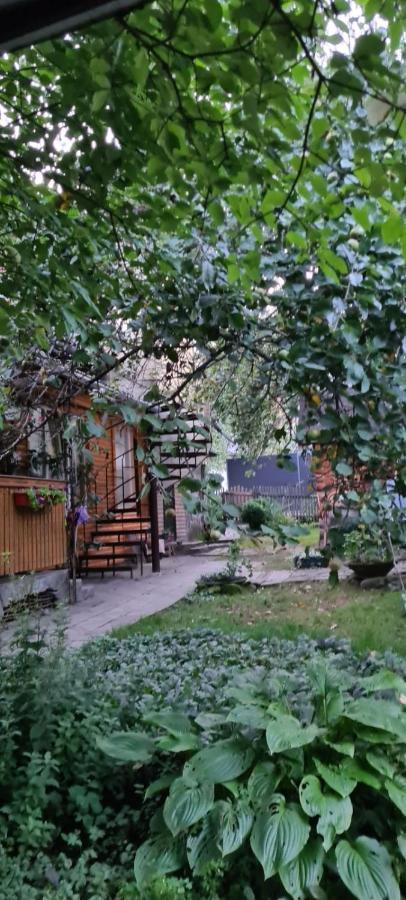 Guesthouse U Dida Viktora Yaremche Ngoại thất bức ảnh